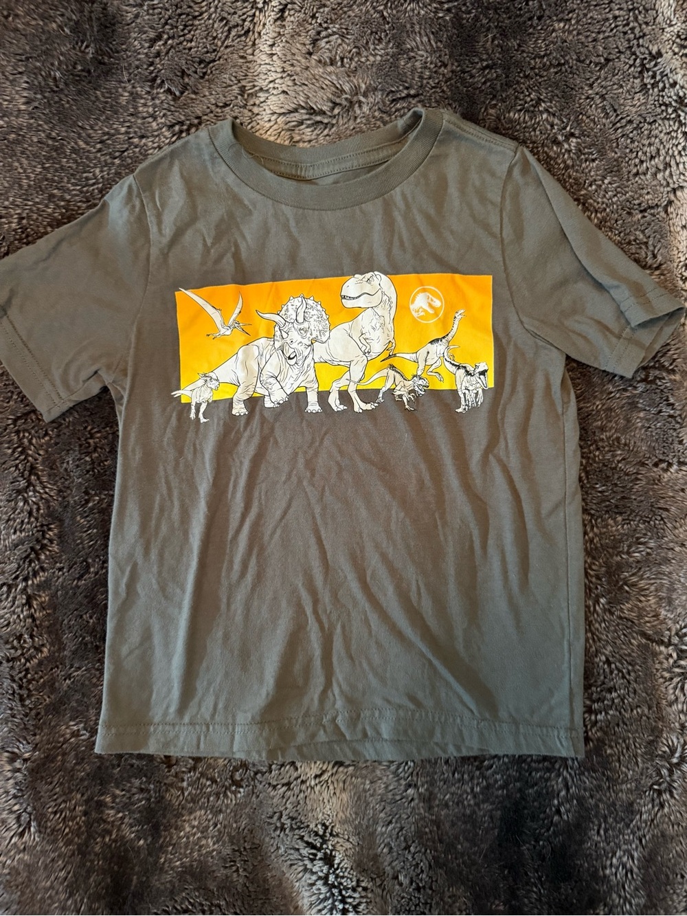 Kids' Dinosaur Tee with Graphic